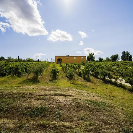 La Vigna 1803 * Casa Gagliano