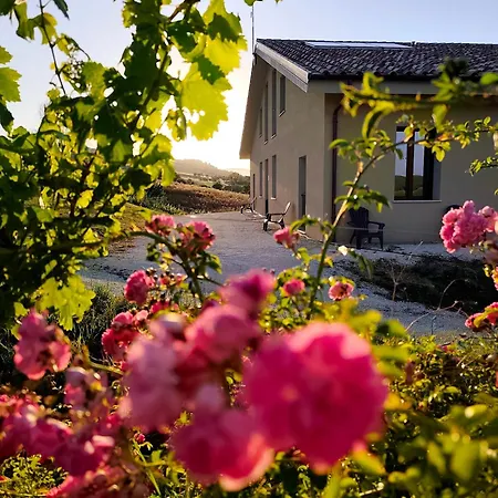 La Vigna 1803 Apartment *